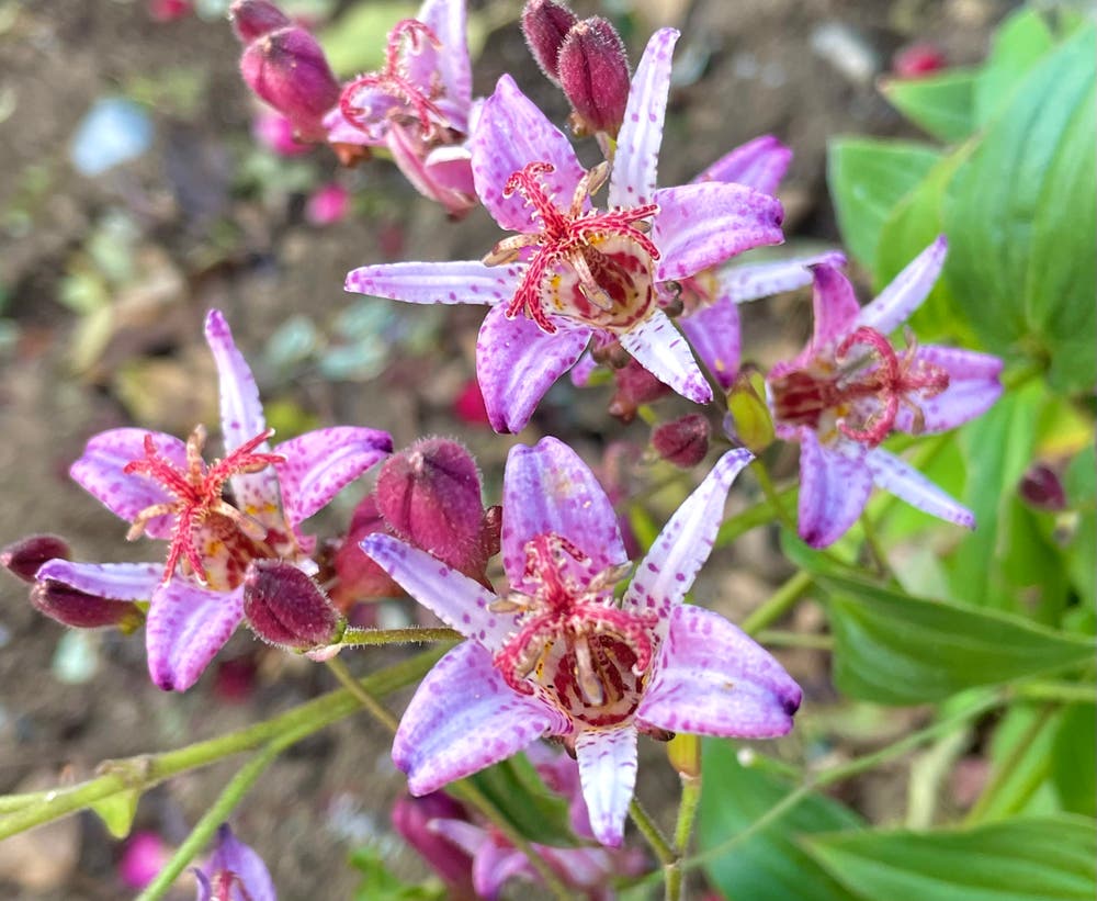 まっちゃんと歩けば VII …… 12993