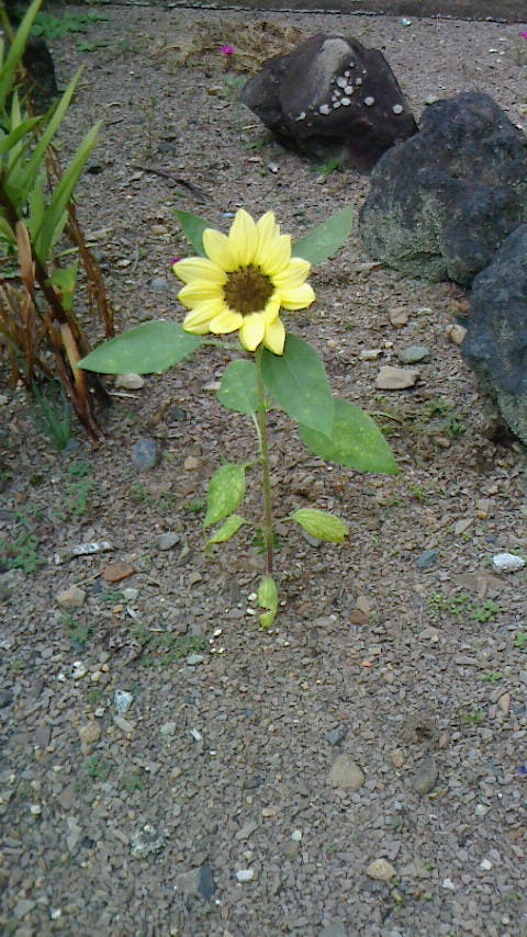 image=501993146.jpg