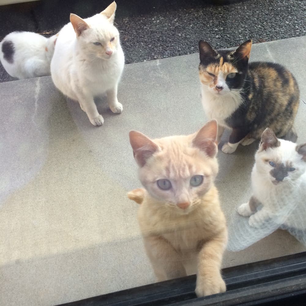 かわいいね～！