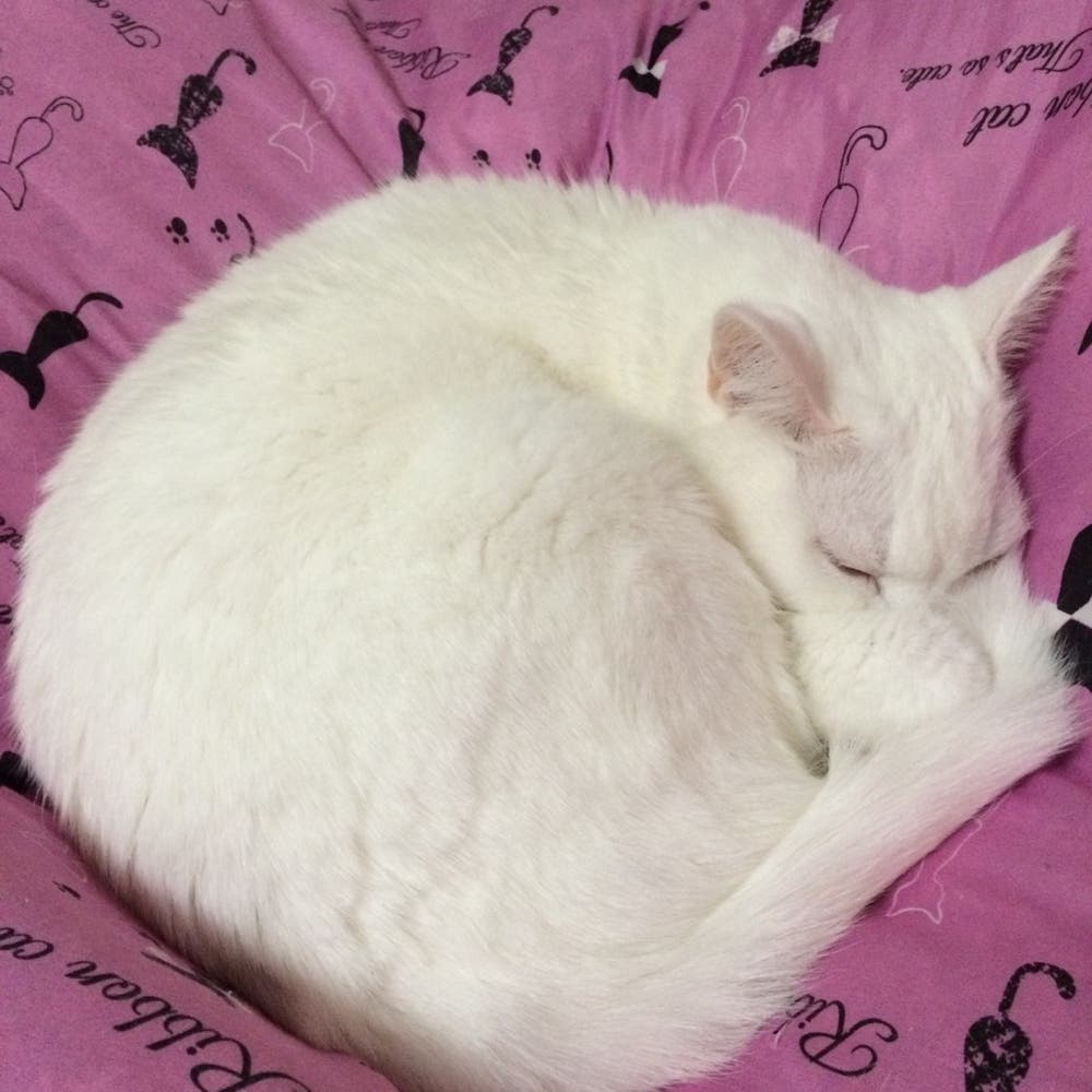 すやすやと。。。