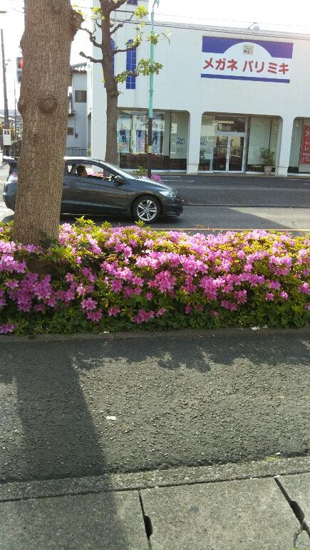 とても綺麗でしたよ?