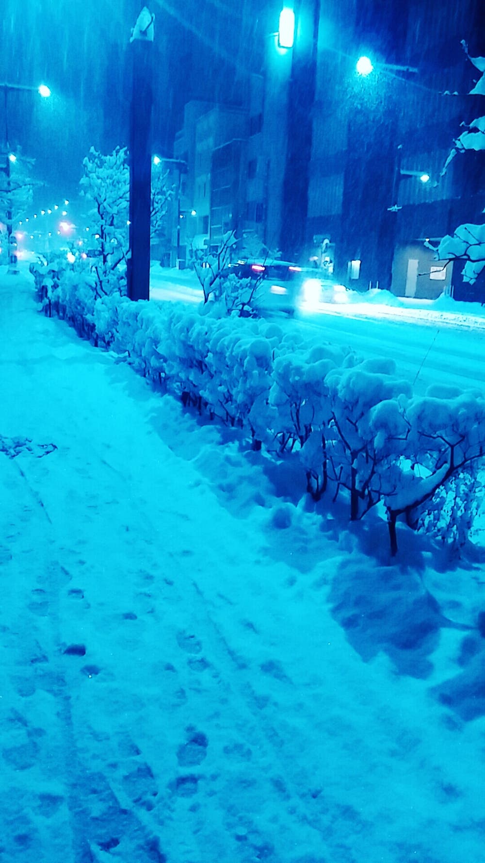 雪