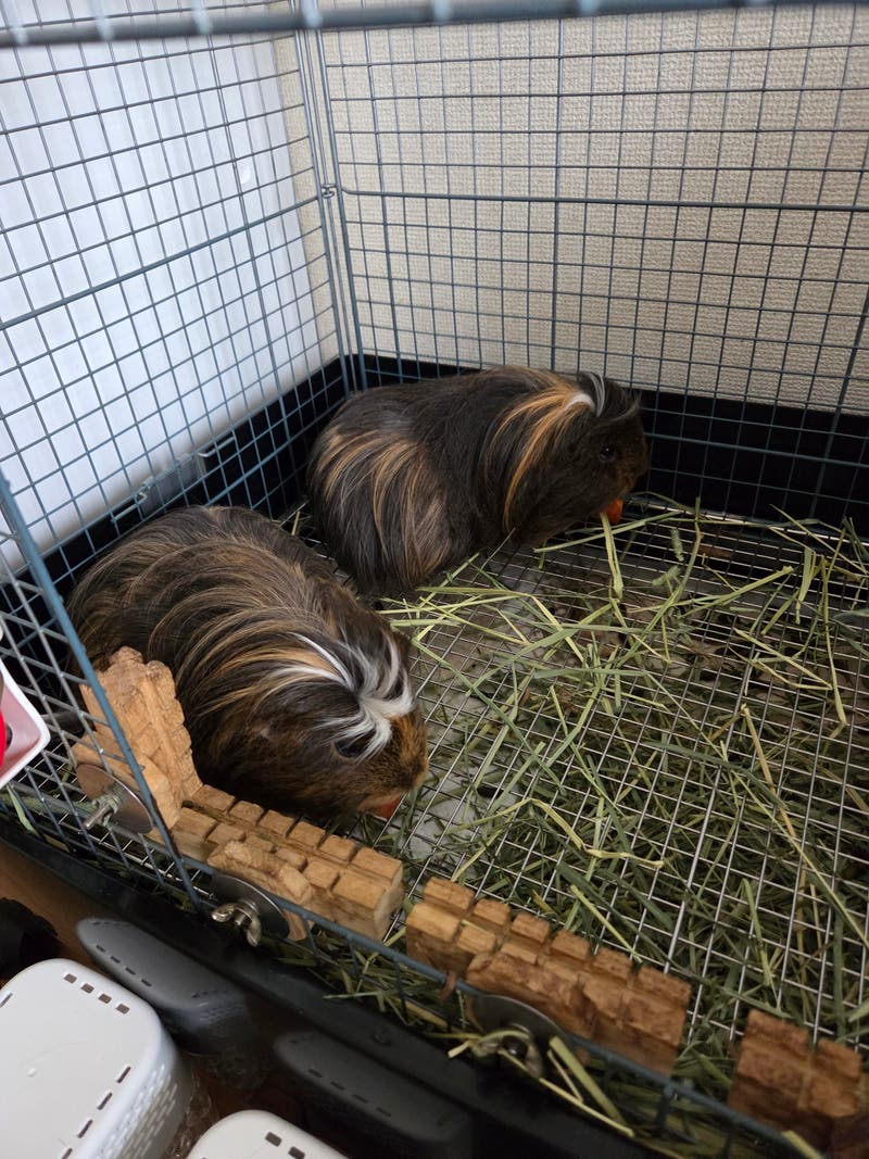 50c52d1c-9c57-4497-a796-361b3f49f467