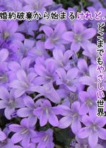 悪役令嬢 婚約破棄 小説投稿エブリスタ 悪役令嬢 婚約破棄 小説投稿エブリスタ