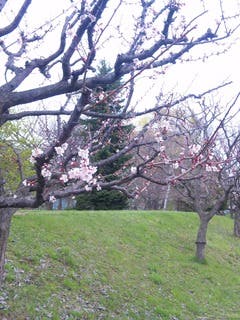 image=512766857.jpg