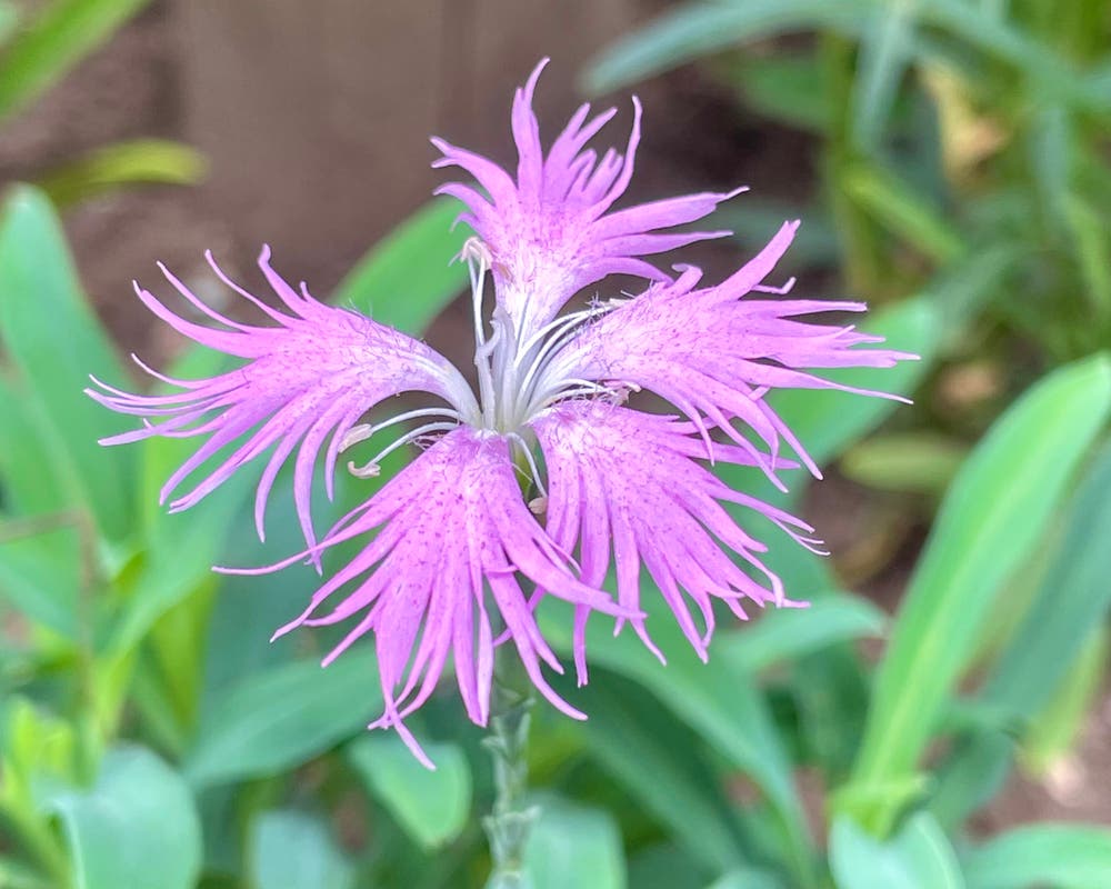 まっちゃんと歩けば VII …… 12945