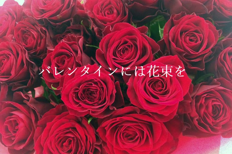 5ab1584c-6ce2-426b-95c3-2ef941b22b5c
