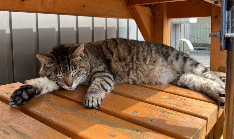 603bc4ce-d410-4a2e-9275-76b9d43891a2