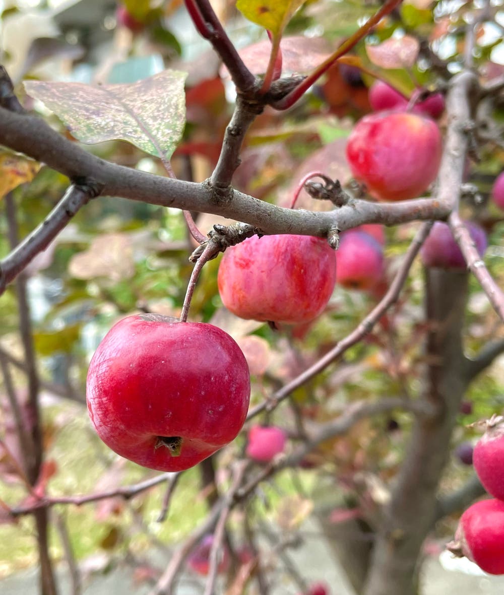 まっちゃんと歩けば VII …… 12992