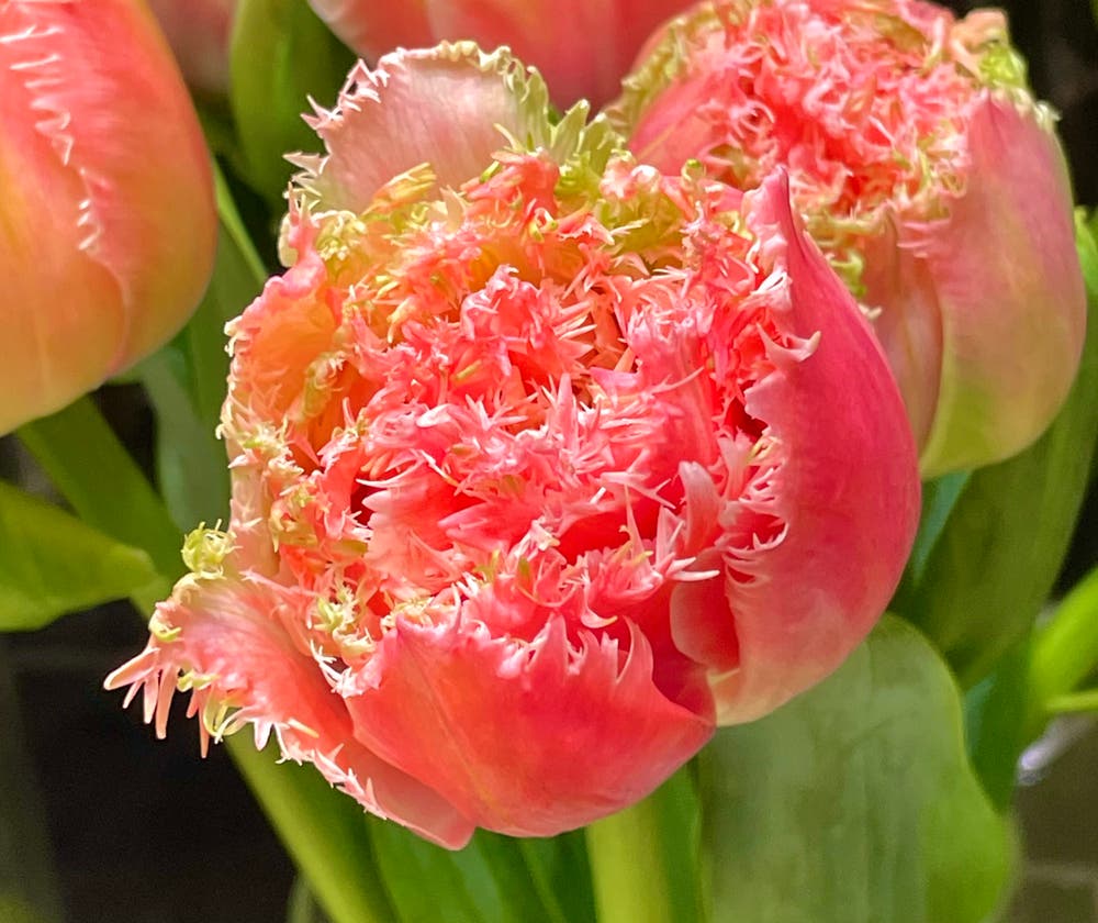 まっちゃんと歩けば VII …… 13173