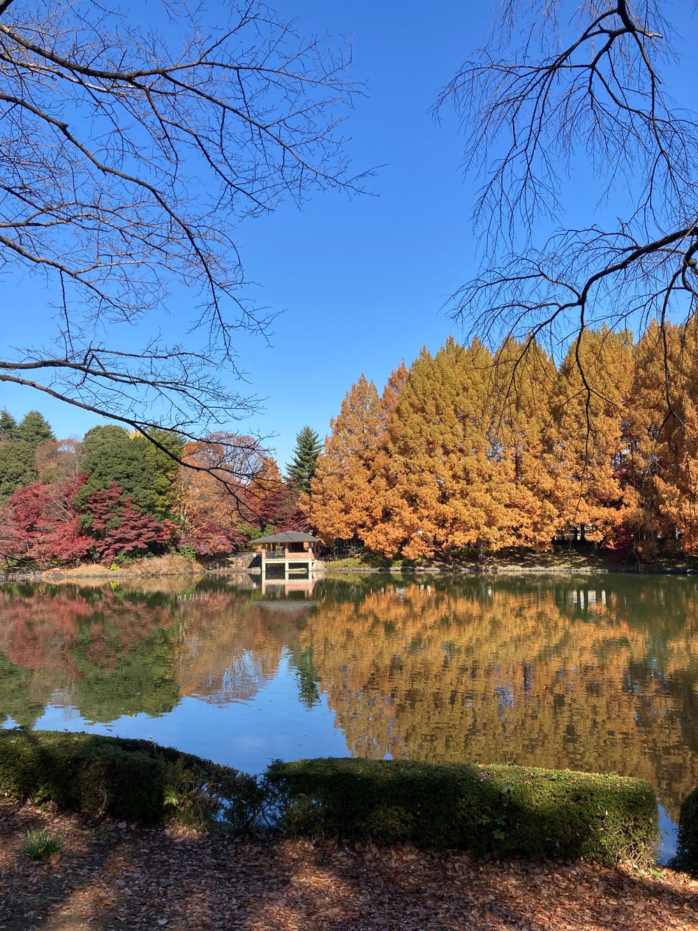 東屋をはさんで