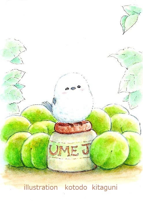 青梅とシマエナガ