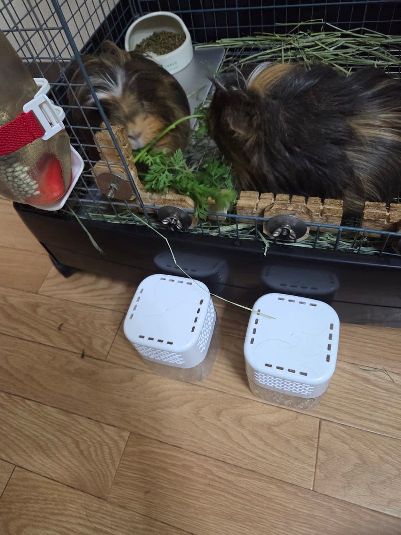 81b10eb3-0c89-47d7-bad1-d32bcfc8581e