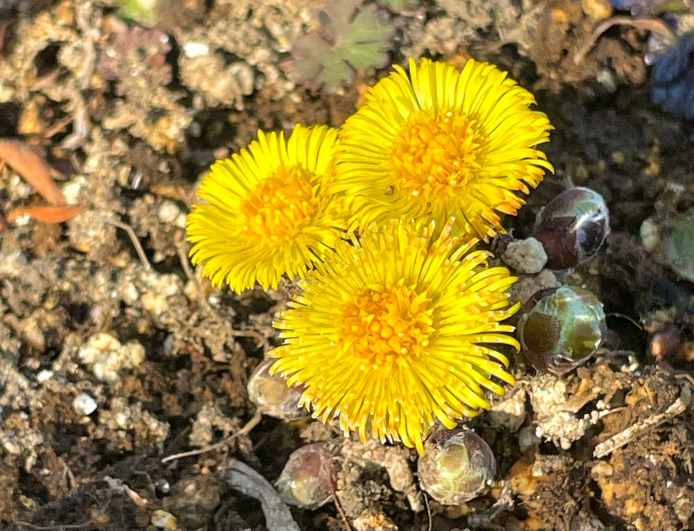 まっちゃんと歩けば VII …… 13139