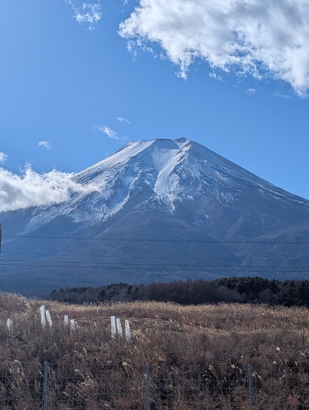 富士山