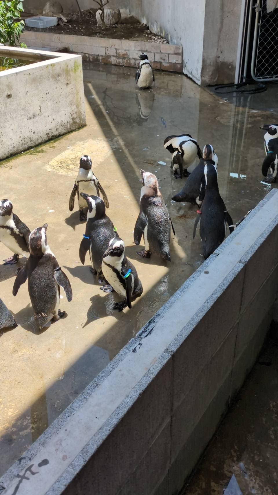 霞ヶ浦動物園