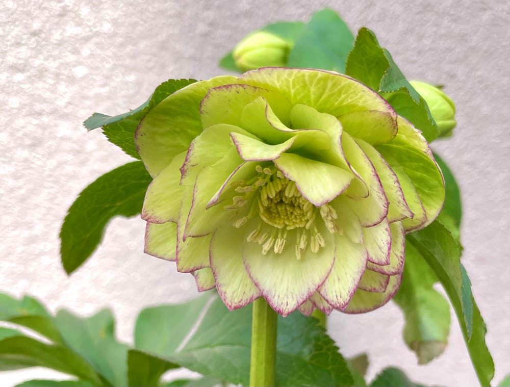 まっちゃんと歩けば VII …… 13174