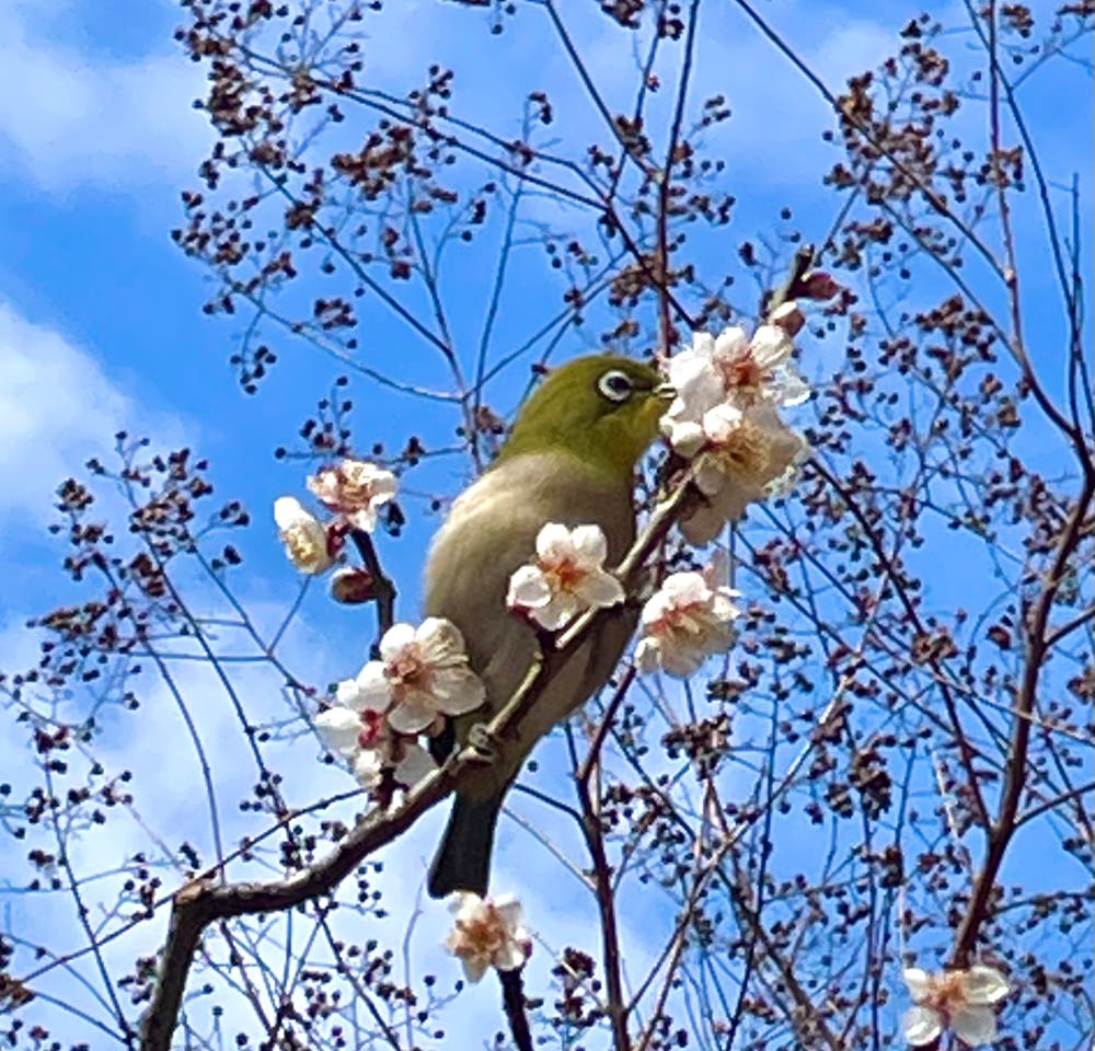 まっちゃんと歩けば VII …… 13142