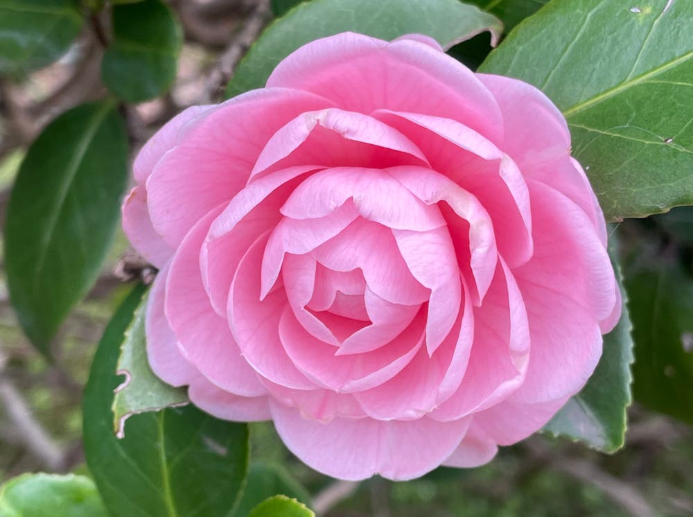 まっちゃんと歩けば VII …… 13178