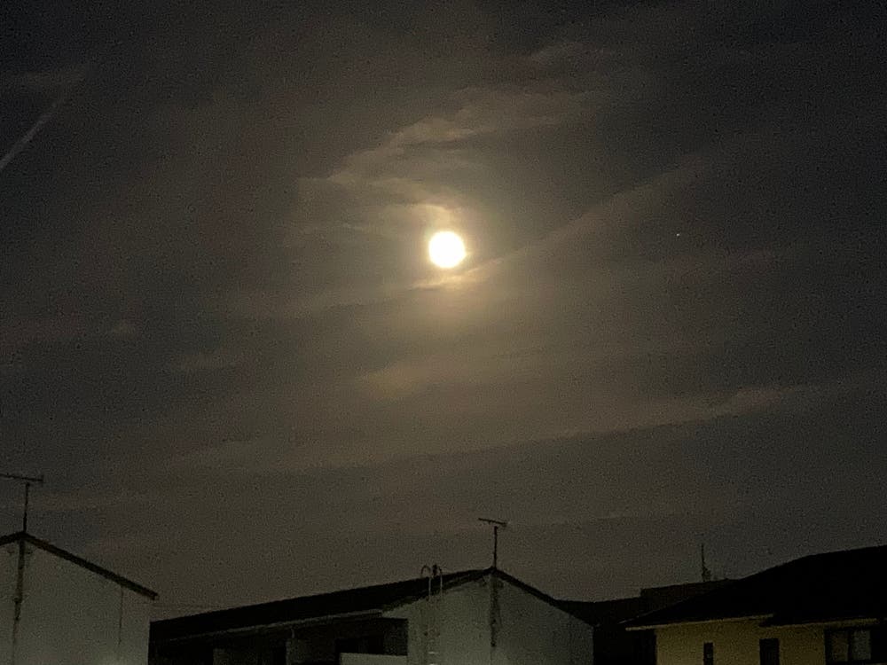 中秋の名月