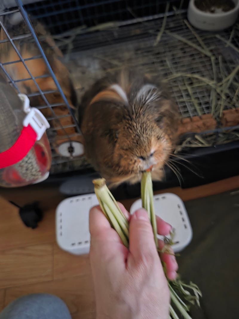 a0c0a5b5-d002-4b87-b1d1-63ba96faad67