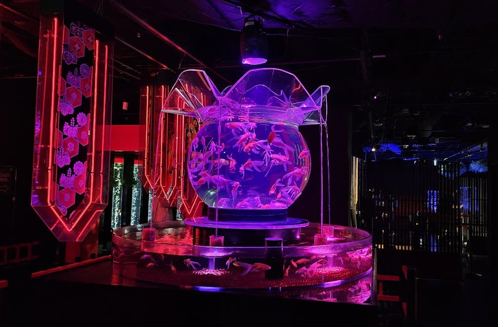 銀座三越の金魚