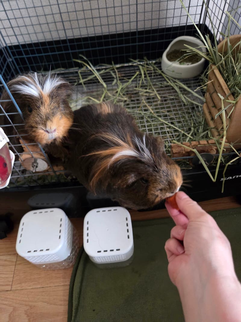 a621d9d5-2b12-4674-a57b-ac11f664d9a9