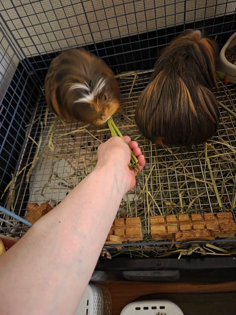 a8d571a2-2943-4af8-a6c7-e4f5a52cdf44