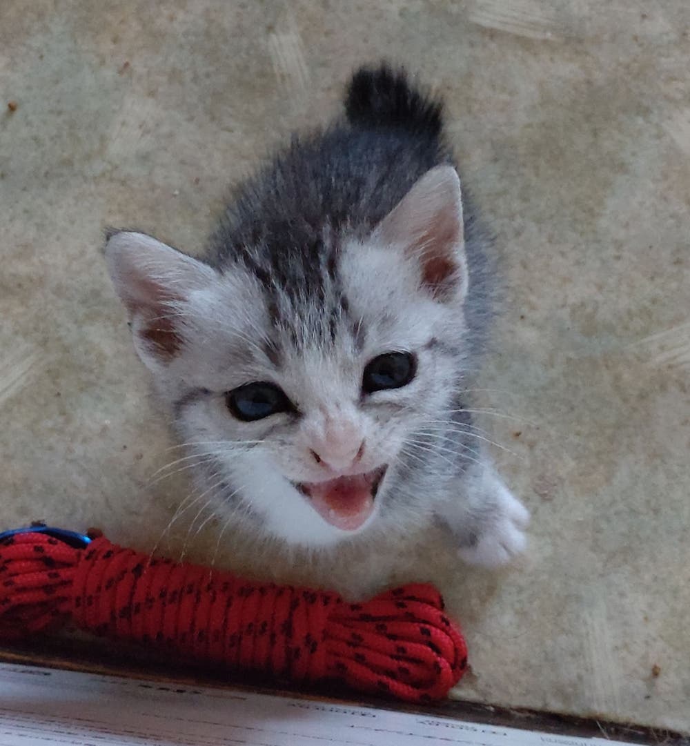 ニパっと笑顔！