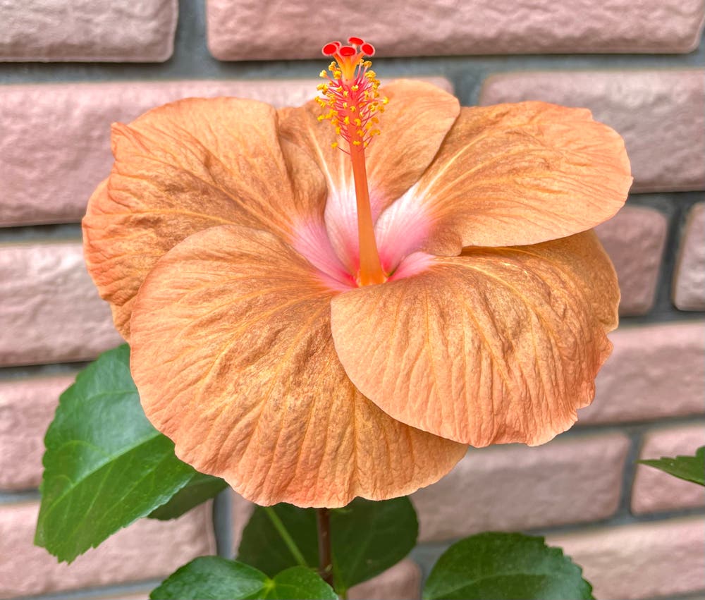 まっちゃんと歩けば VII …… 12944