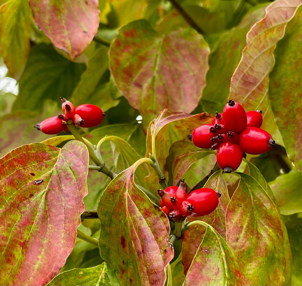 まっちゃんと歩けば VII …… 12943