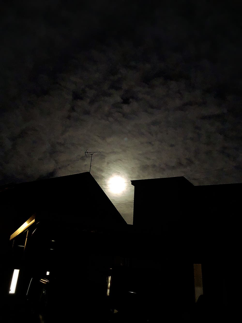 【写真】闇夜の目|よしもと よしか - 小説投稿エブリスタ