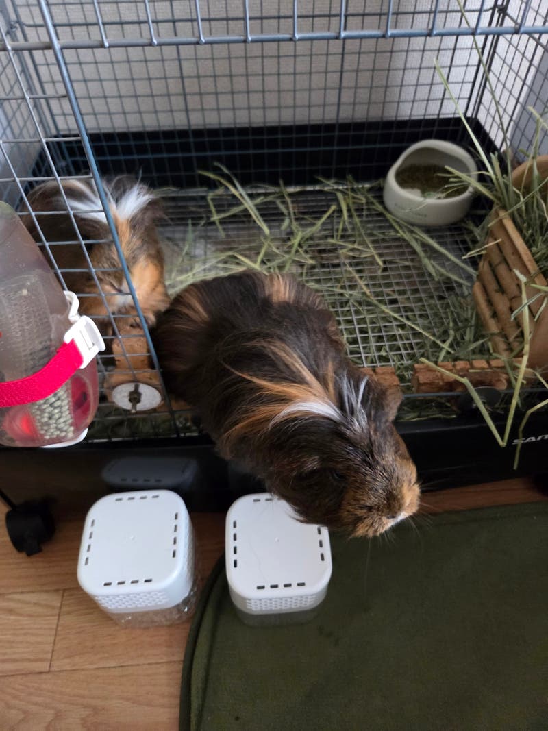 bc8e4fdf-6dfb-4294-87b7-0dab113c1d81