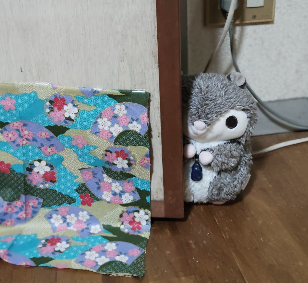 可愛いストーカー🩷✨