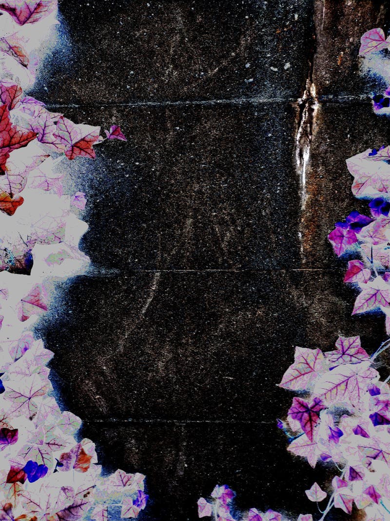 c0158bc8-ce05-42ee-a54c-6f757b561c8e