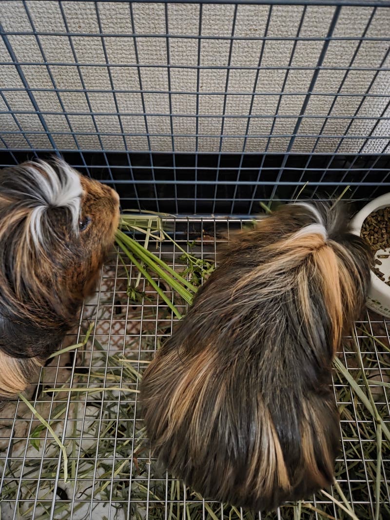 ca90a92b-7fdc-4e9d-aa3e-e05deb8fd4f1