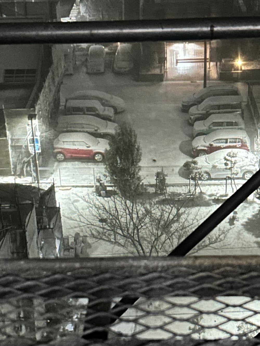 積もりました❄️