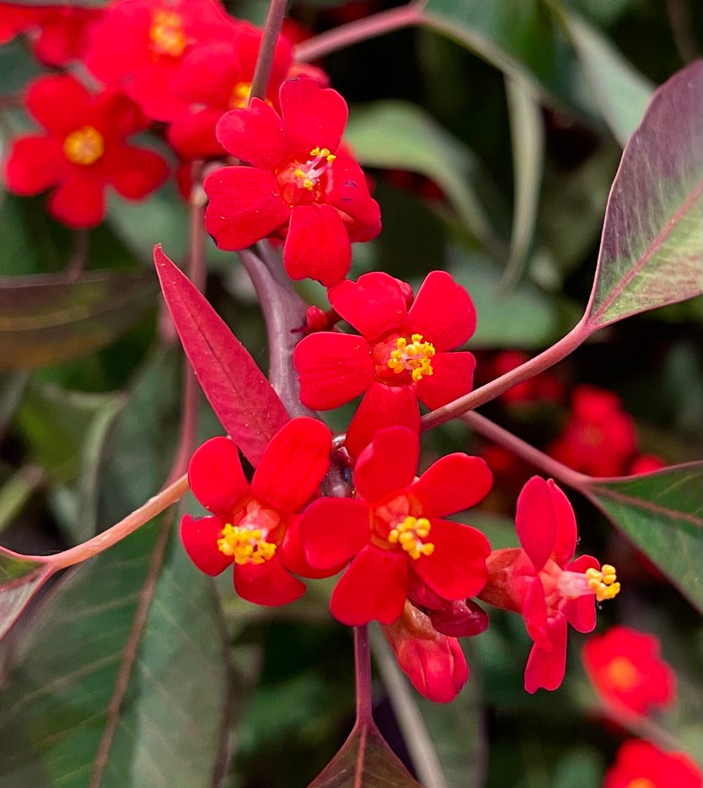 まっちゃんと歩けば VII …… 13033