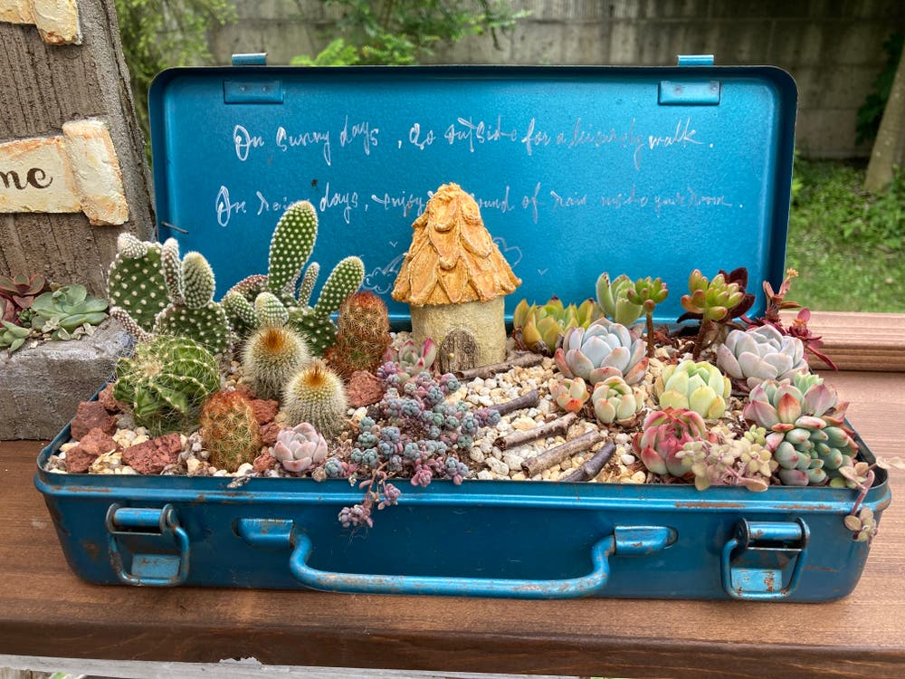 寄せ植え