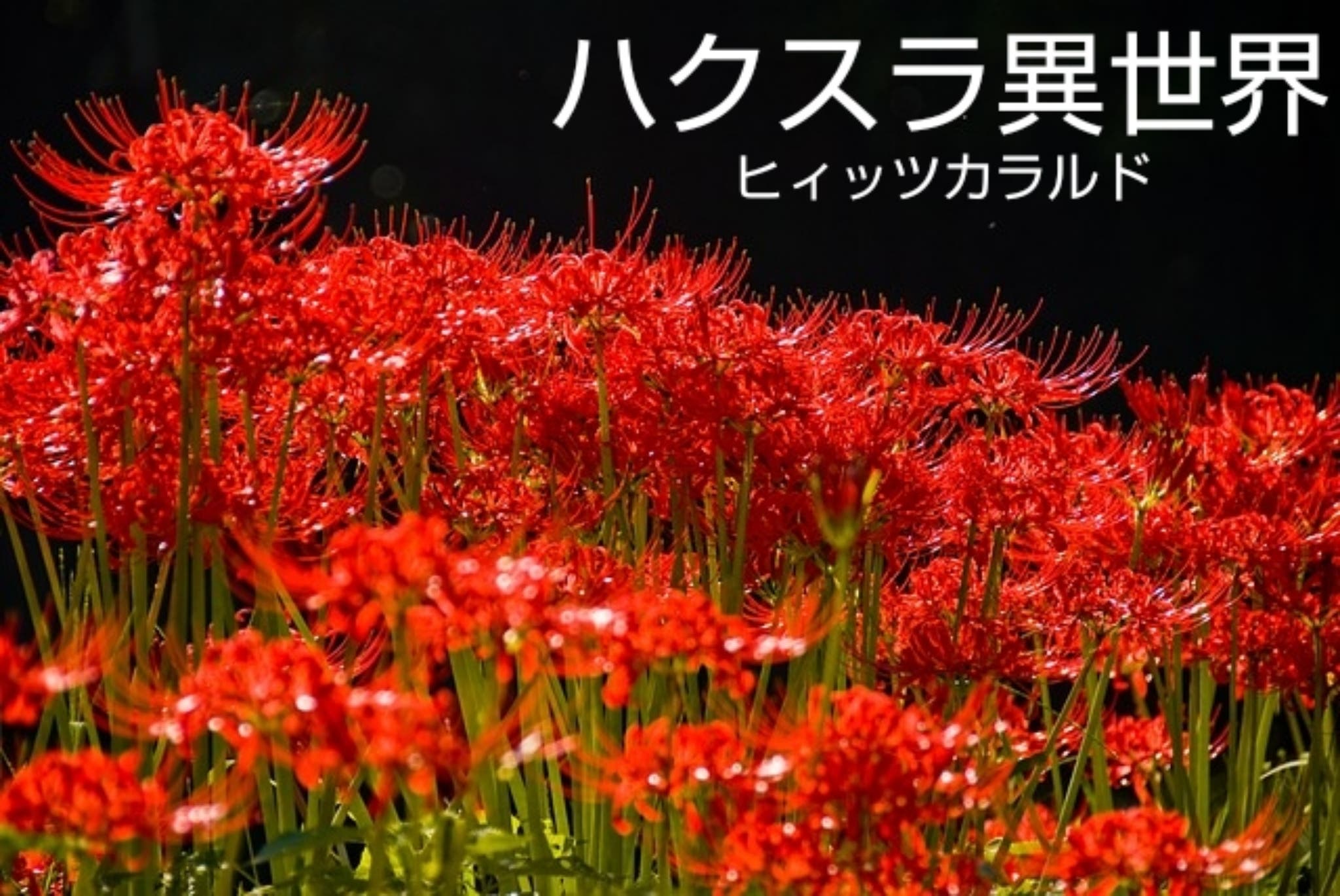 d4c52365-40be-4e9e-9ee3-7cfe3333c712