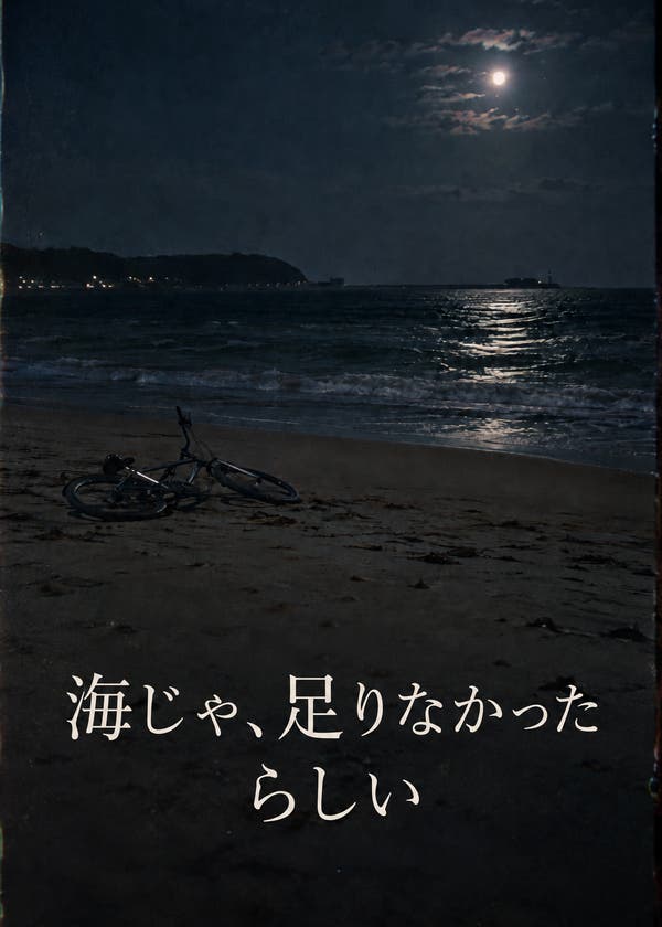 海じゃ、足りなかったらしい の表紙