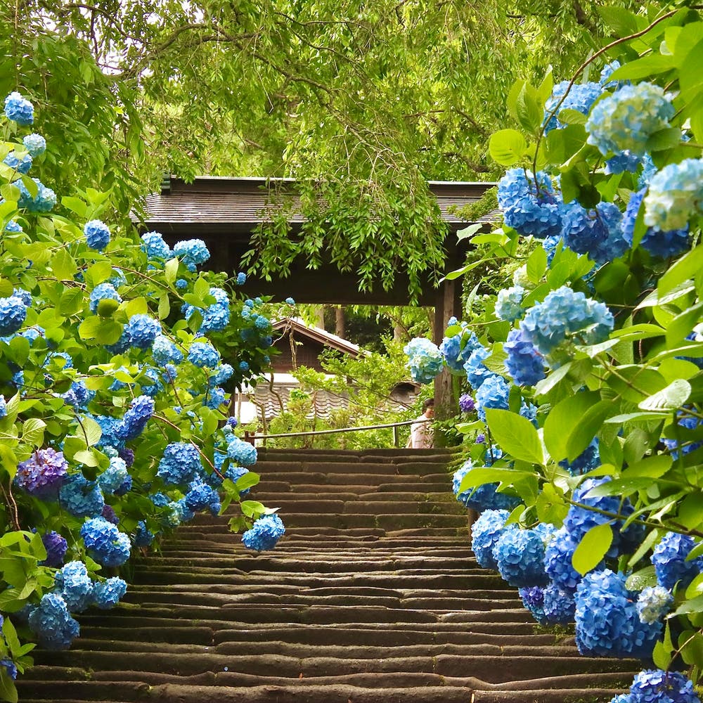 【写真】古都の風景｜賢治 - 小説投稿エブリスタ