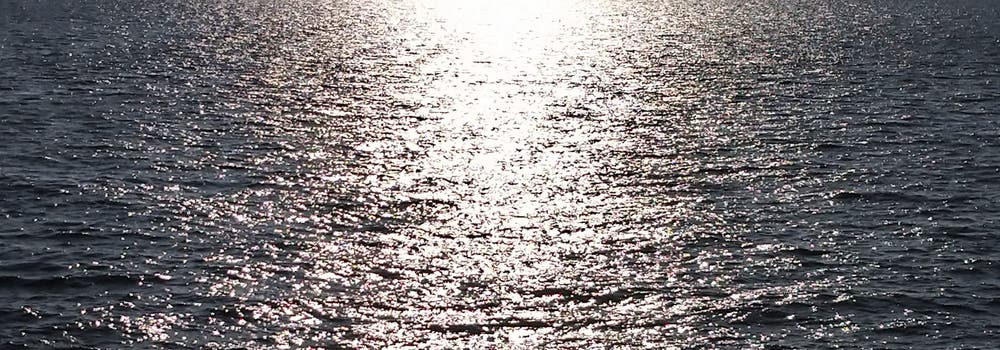 2025初海