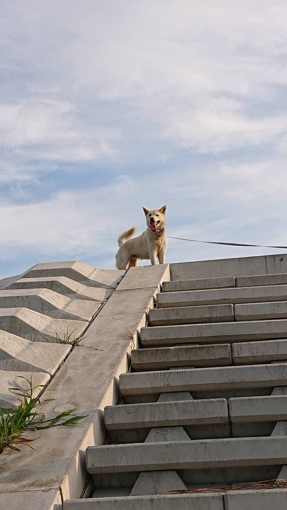 👧からライ😁孫