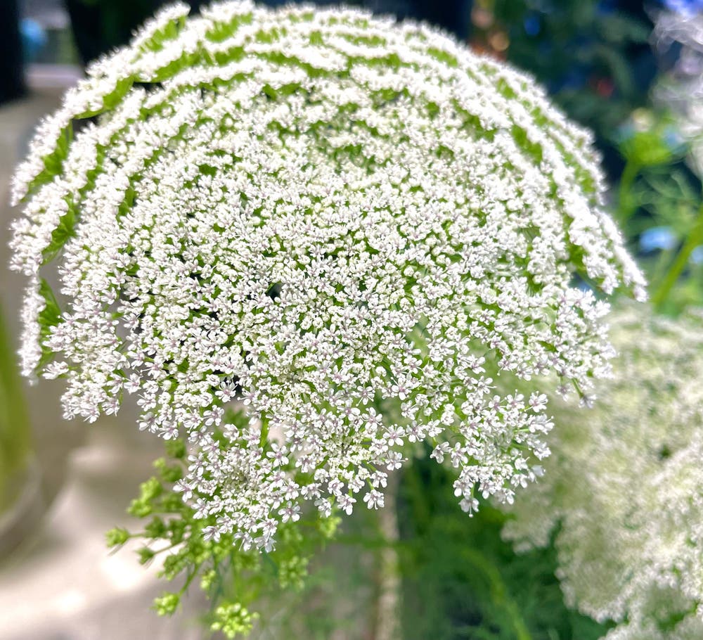 まっちゃんと歩けば VII …… 13084