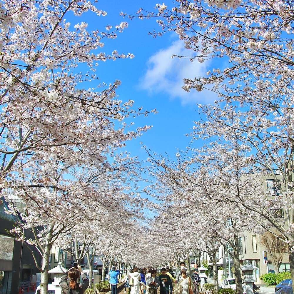 【写真】古都の風景｜賢治 - 小説投稿エブリスタ