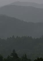 魔女は月曜日に嘘をつく 魔女は月曜日に嘘をつく ミステリー小説 太田紫織 小説投稿エブリスタ