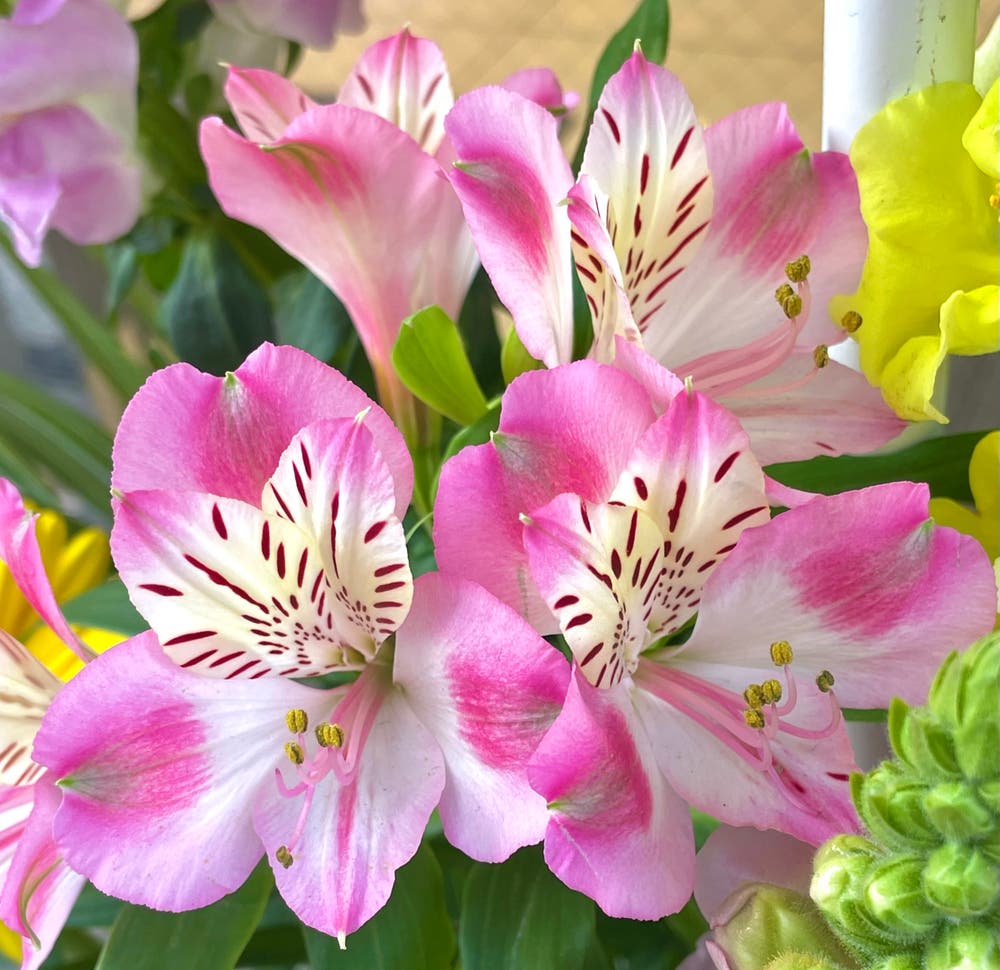 まっちゃんと歩けば VII …… 13093