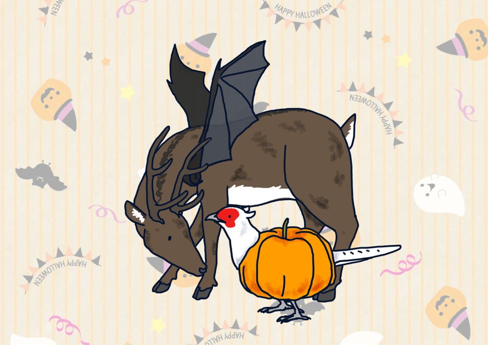 ハロウィン