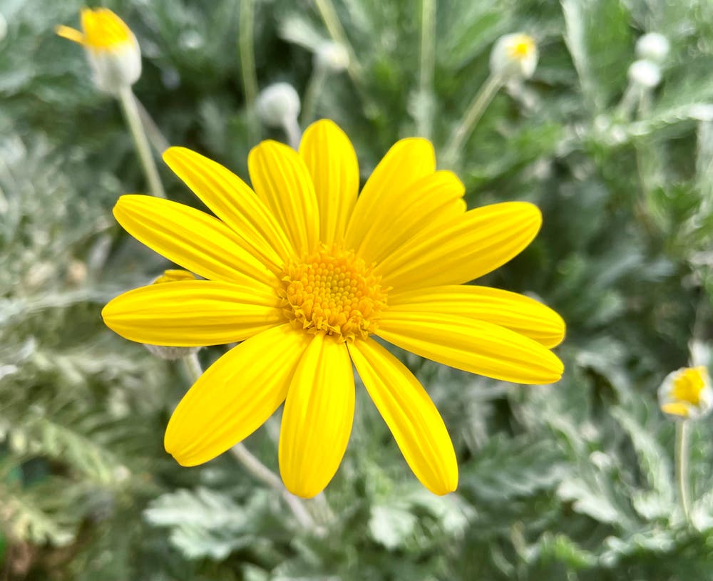 まっちゃんと歩けば VII …… 13031